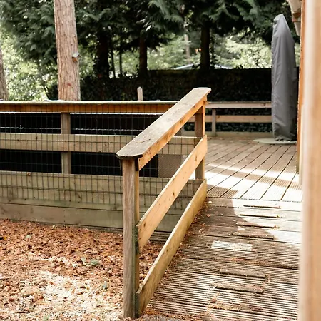 Chalet Chalet M24 Bambi *