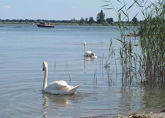 M24 Bambi * Doornspijk