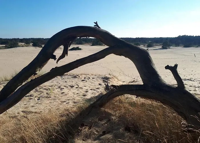 M24 Bambi * Doornspijk