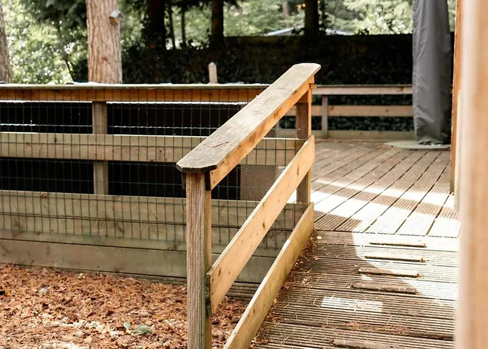 Шале M24 Bambi *